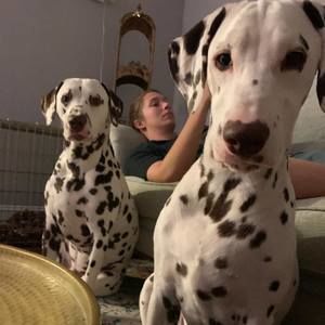 Meet your Posher, Linda